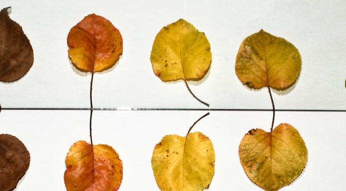 Αρτέμης Σώρρας: Τα αντίθετα είναι ίδια