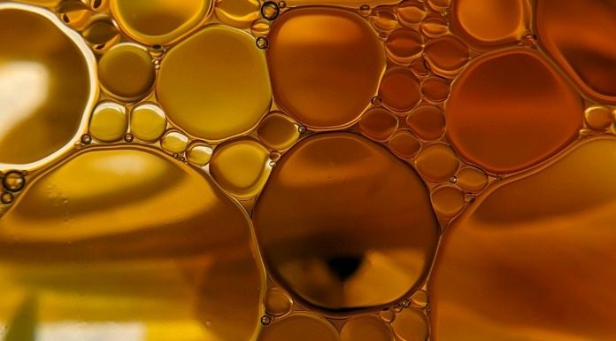 Από τα κατάλοιπα της ελιάς προκύπτουν χρήσιμα παράγωγα