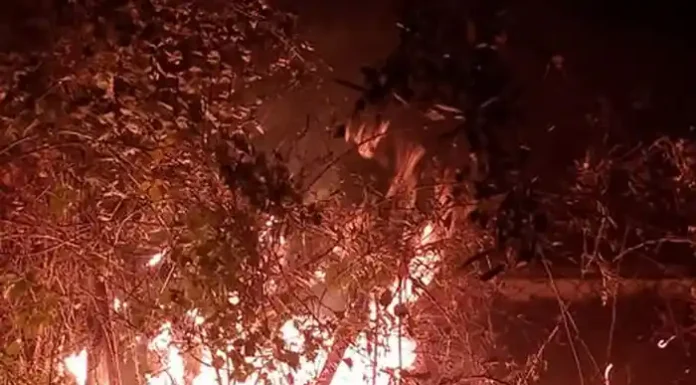 Το 112 είναι παγίδα γιατί υπάρχει εντολή ΜΗ ΚΑΤΑΣΒΕΣΗΣ Το 112 είναι παγίδα γιατί υπάρχει εντολή ΜΗ ΚΑΤΑΣΒΕΣΗΣ