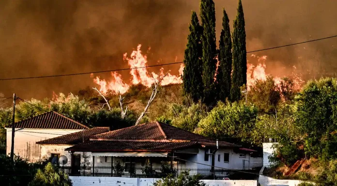Φωτιές παντού: «Πύρινη κόλαση» σε Αχαΐα, Πρέβεζα, Ζάκυνθο, Άρτα, Βόνιτσα και Χίο. Μέσα σε 48 ώρες ξέσπασαν 150 φωτιές! Φωτιές παντού: «Πύρινη κόλαση» σε Αχαΐα, Πρέβεζα, Ζάκυνθο, Άρτα, Βόνιτσα και Χίο. Μέσα σε 48 ώρες ξέσπασαν 150 φωτιές!