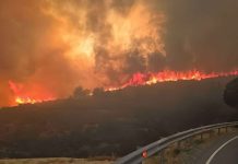 Εμπρηστές ή θύματα ενός σχεδίου συγκάλυψης; Εμπρηστές ή θύματα ενός σχεδίου συγκάλυψης;