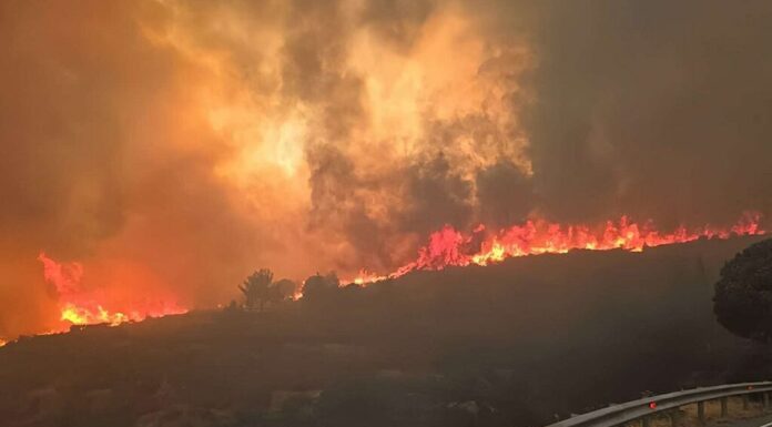 Εμπρηστές ή θύματα ενός σχεδίου συγκάλυψης; Εμπρηστές ή θύματα ενός σχεδίου συγκάλυψης;