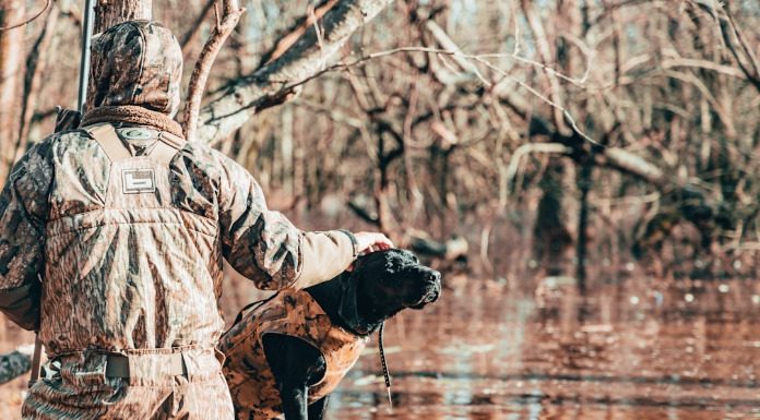 Στις 20 Αυγούστου ξεκινά η κυνηγετική περίοδος: Αναλυτικά τι επιτρέπεται και τι όχι Στις 20 Αυγούστου ξεκινά η κυνηγετική περίοδος: Αναλυτικά τι επιτρέπεται και τι όχι