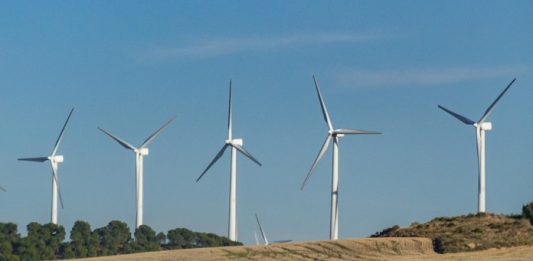 Άκης Τσελέντης: Αυτός είναι ο λόγος που καίνε τα δάση για να βάλουν τις ανεμογεννήτριες