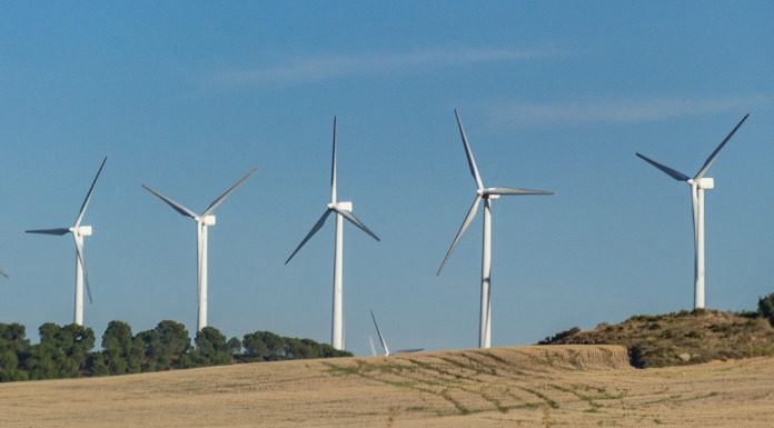 Άκης Τσελέντης: Αυτός είναι ο λόγος που καίνε τα δάση για να βάλουν τις ανεμογεννήτριες Άκης Τσελέντης: Αυτός είναι ο λόγος που καίνε τα δάση για να βάλουν τις ανεμογεννήτριες