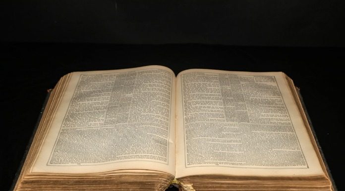 Το Σύνταγμα απαγορεύει οποιαδήποτε ενέργεια σε αναδασωτέα περιοχή