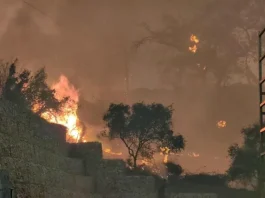 Εκκίνηση αποζημιώσεων για πυρόπληκτους: ΜΟΝΟ 10 ημέρες διορία για κατάθεση αιτήσεων