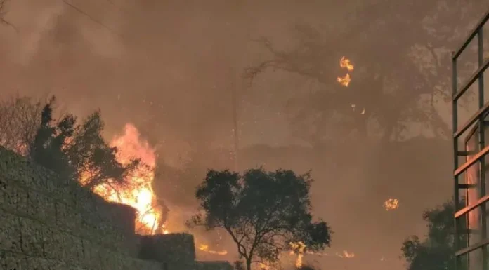 Εκκίνηση αποζημιώσεων για πυρόπληκτους: ΜΟΝΟ 10 ημέρες διορία για κατάθεση αιτήσεων Εκκίνηση αποζημιώσεων για πυρόπληκτους: ΜΟΝΟ 10 ημέρες διορία για κατάθεση αιτήσεων