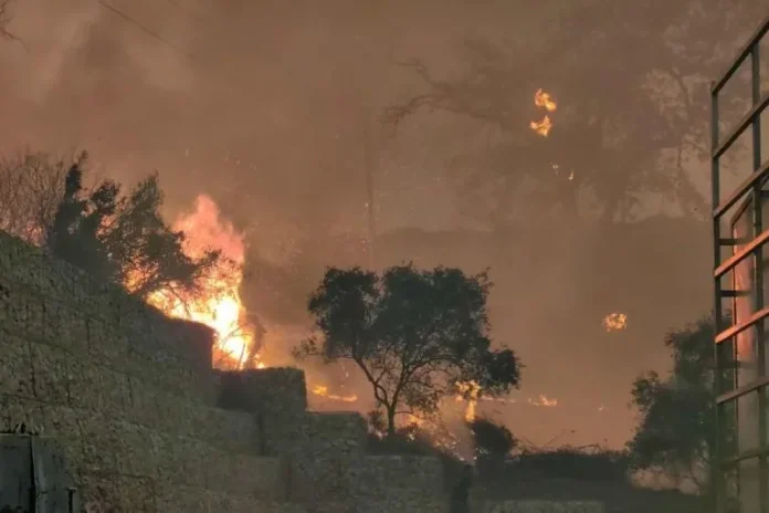 Εκκίνηση αποζημιώσεων για πυρόπληκτους: ΜΟΝΟ 10 ημέρες διορία για κατάθεση αιτήσεων