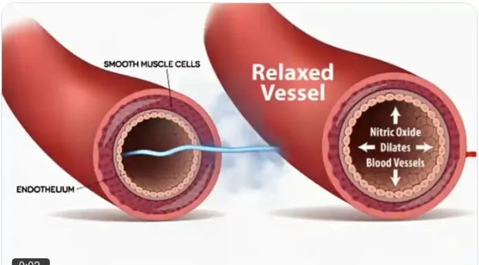 Το μονοξείδιο του αζώτου ελέγχει πόσο καιρό ζείτε και πως ζείτε Το μονοξείδιο του αζώτου ελέγχει πόσο καιρό ζείτε