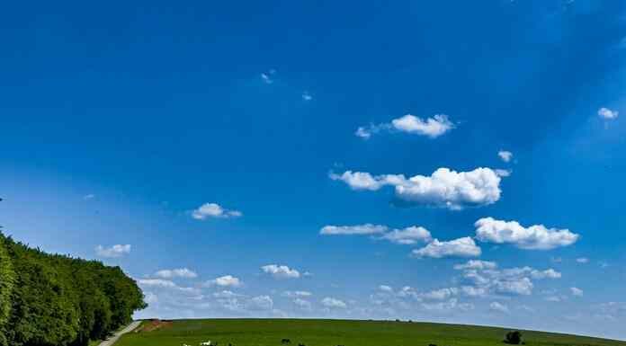 Κομισιόν για ΟΠΕΚΕΠΕ: Tο Eλληνικό σχέδιο δεν συμμορφώνεται με τις ευρωπαϊκές διατάξεις Κομισιόν για ΟΠΕΚΕΠΕ: Tο Eλληνικό σχέδιο δεν συμμορφώνεται με τις ευρωπαϊκές διατάξεις