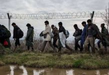 ΞΕΦΡΑΓΟ ΑΜΠΕΛΙ ΕΚΑΝΕ ΤΟΝ ΕΒΡΟ Η ΚΥΒΕΡΝΗΣΗ:Δεκάδες παράνομοι μετανάστες μπήκαν πριν λίγες μέρες ξανά από τον Έβρο! ΞΕΦΡΑΓΟ ΑΜΠΕΛΙ ΕΚΑΝΕ ΤΟΝ ΕΒΡΟ Η ΚΥΒΕΡΝΗΣΗ:Δεκάδες παράνομοι μετανάστες μπήκαν πριν λίγες μέρες ξανά από τον Έβρο!