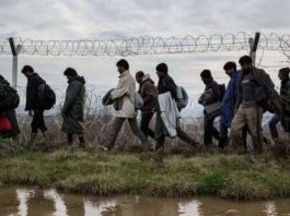 ΞΕΦΡΑΓΟ ΑΜΠΕΛΙ ΕΚΑΝΕ ΤΟΝ ΕΒΡΟ Η ΚΥΒΕΡΝΗΣΗ:Δεκάδες παράνομοι μετανάστες μπήκαν πριν λίγες μέρες ξανά από τον Έβρο! ΞΕΦΡΑΓΟ ΑΜΠΕΛΙ ΕΚΑΝΕ ΤΟΝ ΕΒΡΟ Η ΚΥΒΕΡΝΗΣΗ:Δεκάδες παράνομοι μετανάστες μπήκαν πριν λίγες μέρες ξανά από τον Έβρο!