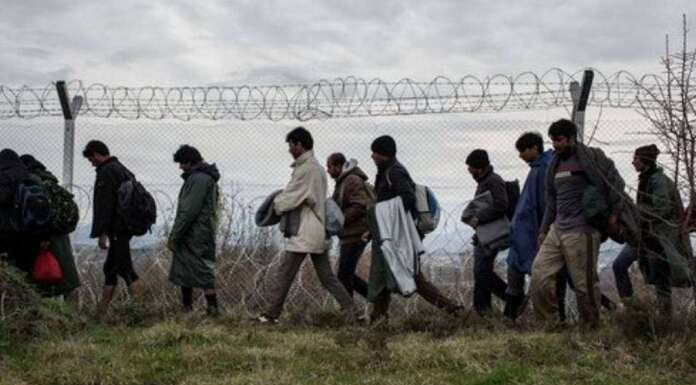 ΞΕΦΡΑΓΟ ΑΜΠΕΛΙ ΕΚΑΝΕ ΤΟΝ ΕΒΡΟ Η ΚΥΒΕΡΝΗΣΗ:Δεκάδες παράνομοι μετανάστες μπήκαν πριν λίγες μέρες ξανά από τον Έβρο! ΞΕΦΡΑΓΟ ΑΜΠΕΛΙ ΕΚΑΝΕ ΤΟΝ ΕΒΡΟ Η ΚΥΒΕΡΝΗΣΗ:Δεκάδες παράνομοι μετανάστες μπήκαν πριν λίγες μέρες ξανά από τον Έβρο!