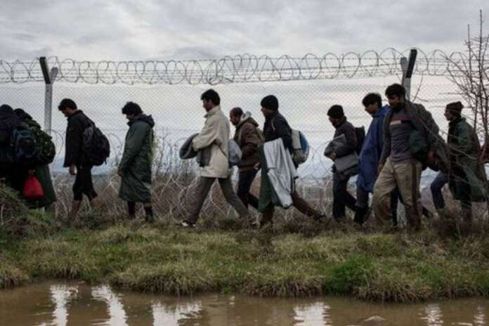 ΞΕΦΡΑΓΟ ΑΜΠΕΛΙ ΕΚΑΝΕ ΤΟΝ ΕΒΡΟ Η ΚΥΒΕΡΝΗΣΗ:Δεκάδες παράνομοι μετανάστες μπήκαν πριν λίγες μέρες ξανά από τον Έβρο! ΞΕΦΡΑΓΟ ΑΜΠΕΛΙ ΕΚΑΝΕ ΤΟΝ ΕΒΡΟ Η ΚΥΒΕΡΝΗΣΗ:Δεκάδες παράνομοι μετανάστες μπήκαν πριν λίγες μέρες ξανά από τον Έβρο!