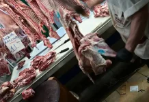 Ακρίβεια χωρίς φρένο στο κρέας: Η κυβερνητική απραξία αφήνει την αγορά έρμαιο σε ελλείψεις και εισαγωγές Ακρίβεια χωρίς φρένο στο κρέας: Η κυβερνητική απραξία αφήνει την αγορά έρμαιο σε ελλείψεις και εισαγωγές