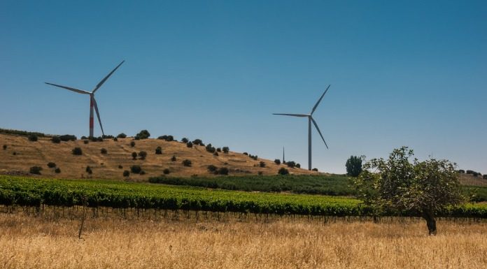 Θα γεμίσουμε με νεκροταφεία ανεμογεννητριών στα βουνά