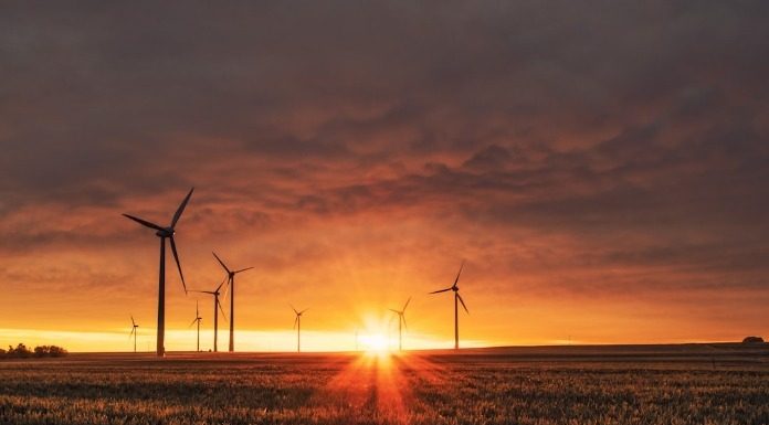 Οικολογικές οργανώσεις δεν διαμαρτύρονται για τα αιολικά πάρκα