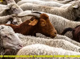 Διαλύουν την κτηνοτροφία-Lockdown στη μετακίνηση,κρίσιμες επόμενες μέρες,κτηνίατροι σε εντεταλμένη υπηρεσία για τρομοκρατία και άρνηση εμβολιασμού