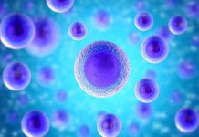 Νέα εποχή στην αναπαραγωγή: Ανθρώπινα έμβρυα από δερματικά κύτταρα Νέα εποχή στην αναπαραγωγή: Ανθρώπινα έμβρυα από δερματικά κύτταρα