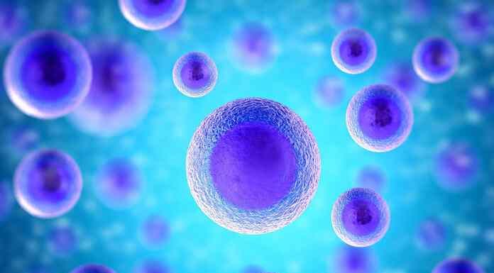 Νέα εποχή στην αναπαραγωγή: Ανθρώπινα έμβρυα από δερματικά κύτταρα Νέα εποχή στην αναπαραγωγή: Ανθρώπινα έμβρυα από δερματικά κύτταρα
