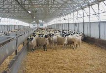 Εισαγγελία Λάρισας: Διενέργεια επείγουσας προκαταρτικής εξέτασης για το εάν τηρήθηκαν τα μέτρα βιοσφάλειας Εισαγγελία Λάρισας: Διενέργεια επείγουσας προκαταρτικής εξέτασης για το εάν τηρήθηκαν τα μέτρα βιοσφάλειας