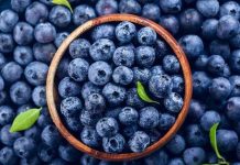 Μύρτιλα: Το φρούτο που θωρακίζει τον οργανισμό για να παραμένει ανθεκτικός απέναντι στους ιούς Μύρτιλα: Το φρούτο που θωρακίζει τον οργανισμό για να παραμένει ανθεκτικός απέναντι στους ιούς