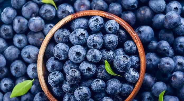 Μύρτιλα: Το φρούτο που θωρακίζει τον οργανισμό για να παραμένει ανθεκτικός απέναντι στους ιούς Μύρτιλα: Το φρούτο που θωρακίζει τον οργανισμό για να παραμένει ανθεκτικός απέναντι στους ιούς