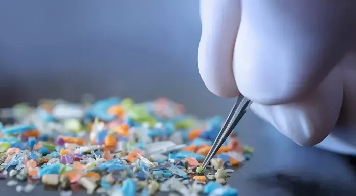 Προσοχή στα Μικροπλαστικά : Εντοπίστηκαν στο αίμα, στους πνεύμονες, ακόμη και στον εγκέφαλο ανθρώπων Προσοχή στα Μικροπλαστικά : Εντοπίστηκαν στο αίμα, στους πνεύμονες, ακόμη και στον εγκέφαλο ανθρώπων