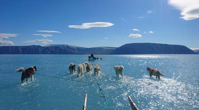 ΤΡΑΜΠ:Κάθετος για όλη την «πράσινη παράνοια»- Όταν μιλάνε για το κλίμα, όλο αυτό είναι ένα HOAX. ΤΡΑΜΠ:Κάθετος για όλη την «πράσινη παράνοια»- Όταν μιλάνε για το κλίμα, όλο αυτό είναι ένα HOAX.
