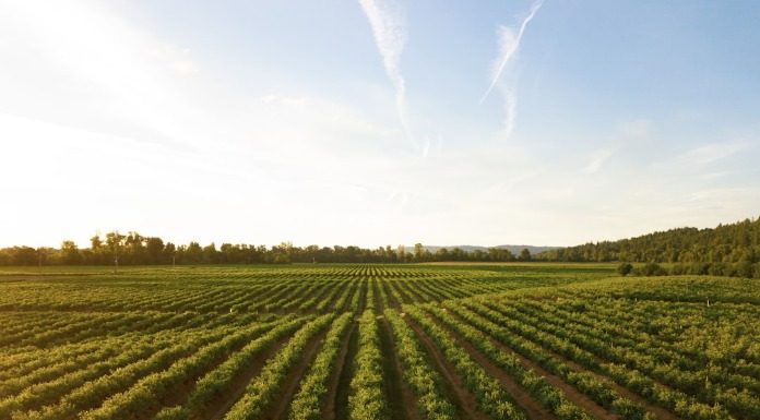 Η Ελλάδα θα καταστεί αυτόνομη και αυτάρκης με διακυβέρνηση Ελλήνων Συνέλευσις