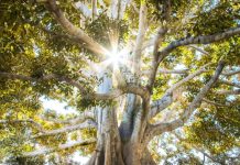 Με Ελλήνων Συνέλευσις αυτάρκεια και προστασία των πόρων της χώρας