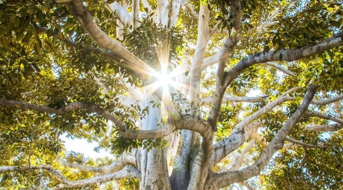 Με Ελλήνων Συνέλευσις αυτάρκεια και προστασία των πόρων της χώρας