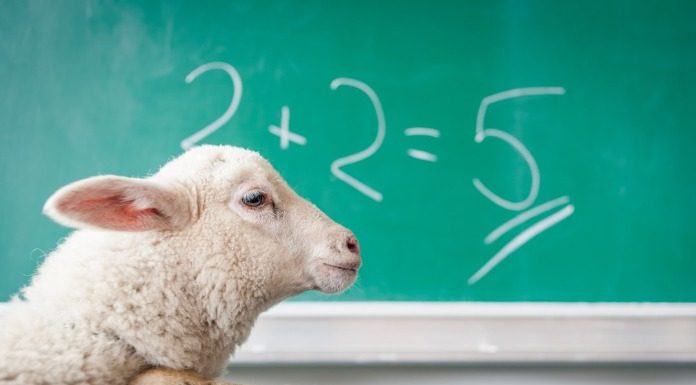 Αλλεπάλληλα προβλήματα της Ε Ε και του κράτους στους αγρότες μας