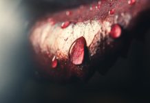 Αραουάκοι – Καρίβα – Κάνιμπα – Κάνιβαλ