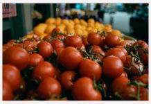 32 εκατ. στρέμματα σε αδράνεια: Τα νούμερα που διαψεύδουν την αύξηση παραγωγής