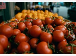 32 εκατ. στρέμματα σε αδράνεια: Τα νούμερα που διαψεύδουν την αύξηση παραγωγής