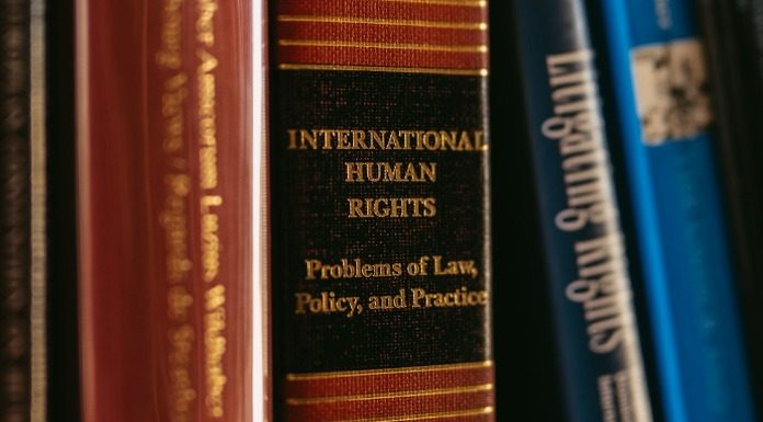 Ελέγχεται τελικά η συνταγματικότητα των νόμων;