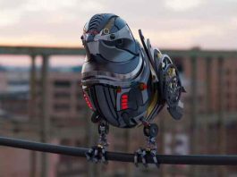 Ρωσία: Σε τελικό στάδιο δοκιμών η δημιουργία φονικών κυβερνοπεριστεριών!