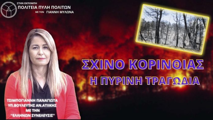 ΣΧΙΝΟ ΚΟΡΙΝΘΙΑΣ Η ΠΥΡΙΝΗ ΤΡΑΓΩΔΙΑ