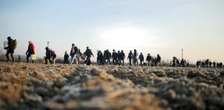 Ξέσπασμα Προέδρου Συνοριοφυλάκων Έβρου: Τεράστια αύξηση των ροών καθημερινά. Να παρθούν τολμηρές αποφάσεις (Σ.Σ.: ΘΑ ΠΑΡΘΟΥΝ? Ή ΑΥΤΕΣ ΕΙΝΑΙ ΤΕΛΙΚΑ ΟΙ ΤΟΛΜΗΡΕΣ ΑΠΟΦΑΣΕΙΣ? ΔΗΛΑΔΗ ΜΕ ΣΧΕΔΙΟ ΝΑ ΥΠΑΡΧΕΙ ΤΕΡΑΣΤΙΑ ΑΥΞΗΣΗ ΤΩΝ ΡΟΩΝ ΚΑΘΗΜΕΡΙΝΑ?)