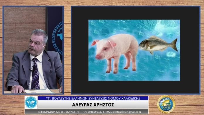 ΜΕΤΑΛΛΑΓΜΕΝΕΣ ΤΡΟΦΕΣ ΣΤΑ ΨΑΡΙΑ ΙΧΘΥΟΚΑΛΛΙΕΡΓΕΙΑΣ (ΜΕΡΟΣ Β')
