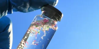 Έρευνα για τα μικροπλαστικά αποκαλύπτει:Ναι μπορεί να συσχετίζονται με υπογονιμότητα και καρκίνο!