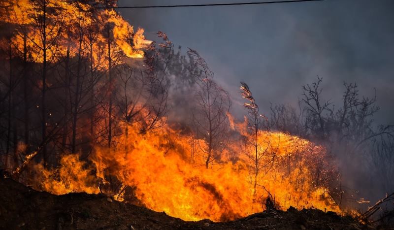 Η ΧΩΡΑ ΦΛΕΓΕΤΑΙ ΣΤΟΝ ΒΩΜΟ ΤΩΝ ΜΕΓΑΛΩΝ ΣΥΜΦΕΡΟΝΤΩΝ