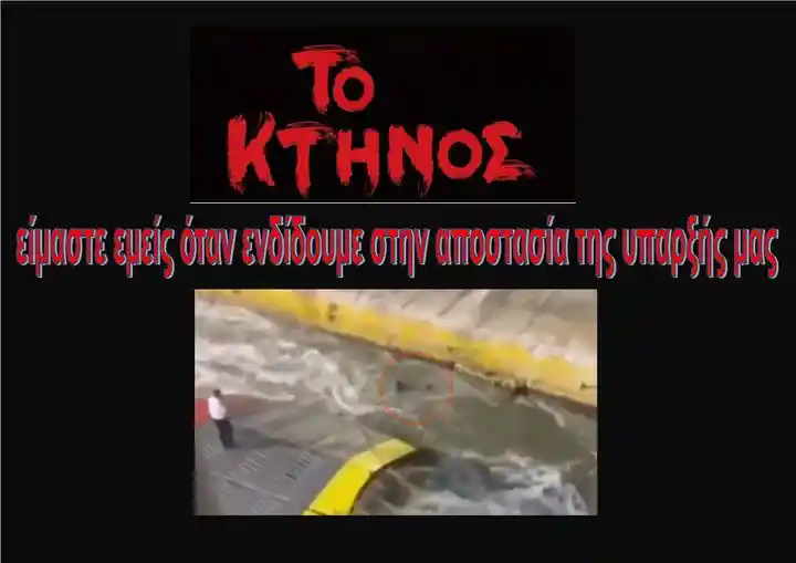 ΠΕΡΙ ΥΒΡΙΔΙΩΝ ΚΑΙ ΑΝΘΡΩΠΩΝ ΤΟ ΑΝΑΓΝΩΣΜΑ