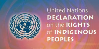 Διακήρυξη των Ηνωμένων Εθνών για τα Δικαιώματα των Αυτοχθόνων Λαών