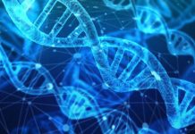 ΤΟ DNA ΔΕΙΧΝΕΙ ΓΡΑΜΜΙΚΗ ΣΥΝΕΧΕΙΑ ΑΡΧΑΙΩΝ (ΜΥΚΗΝΑΙΩΝ, ΜΙΝΩΙΤΩΝ) ΚΑΙ ΣΥΓΧΡΟΝΩΝ ΕΛΛΗΝΩΝ. ΑΡΧΑΙΟΙ ΕΛΛΗΝΕΣ (ΑΡΧΟΝΤΕΣ ΚΑΙ ΛΑΟΣ) ΕΙΧΑΝ ΤΟ ΙΔΙΟ DNA