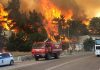 NEA Φωτιά στα Βίλια: εκκενώσεις, καμένα σπίτια και αγωνία για τον Κιθαιρώνα