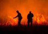 EFFIS: κάηκαν πάνω από ένα εκατομμύριο στρέμματα σε δύο εβδομάδες