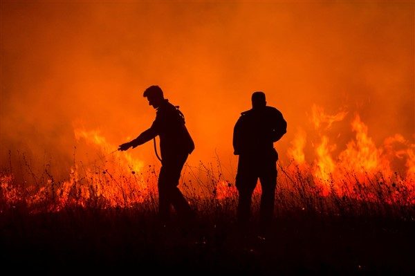 EFFIS: κάηκαν πάνω από ένα εκατομμύριο στρέμματα σε δύο εβδομάδες